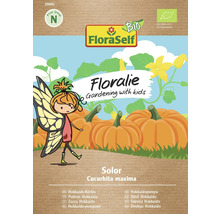 FloraSelf Floralie Solor Dovleac Hokkaido Semințe