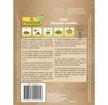 Pachet de semințe dovleac Hokkaido