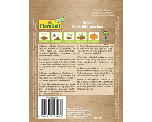 Pachet de semințe dovleac Hokkaido