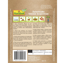 Descrierea plantei Zuckertraube Solanum lycopersicum