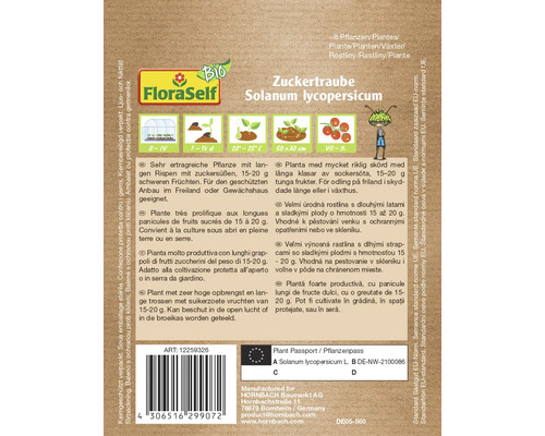 Descrierea plantei Zuckertraube Solanum lycopersicum