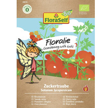 Semințe de roșii cherry Floralies Zuckertraube