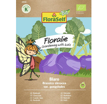 FloraSelf Floralie Gulie Blaro Pachet de semințe