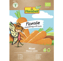 Pachet de semințe de morcovi FloraSelf Miami