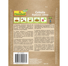 Bandă de semințe de ridichi Celesta de la FloraSelf, Raphanus sativus