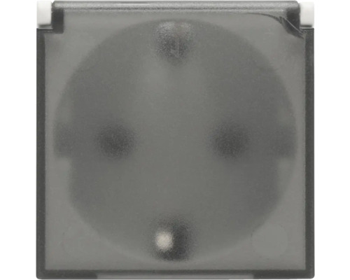 Priză cu capac rabatabil