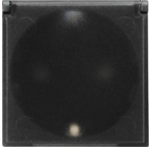 Capac negru