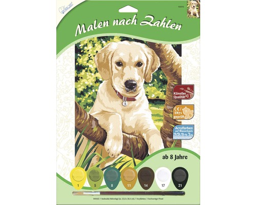 Set pictură după numere cu motiv Golden Retriever