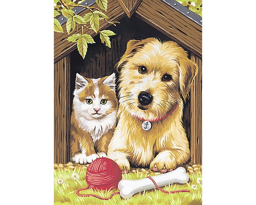 Motiv de pictură după numere cu câine și pisică în cușca câinelui