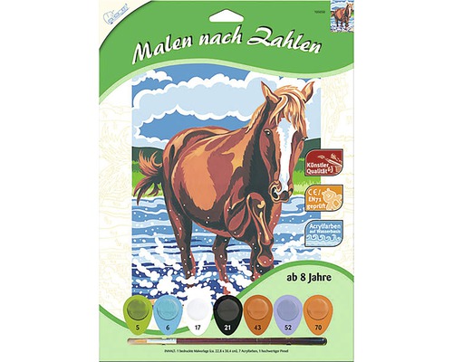 Set pictură după numere cu motiv cal