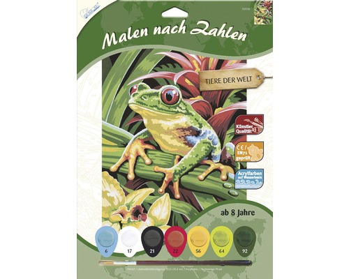 Set pictură după numere cu motiv broască
