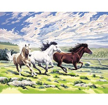 Pictură pe numere Cai în galop 30x40 cm-thumb-0 Pictură pe numere Cai în galop 30x40 cm-thumb-0