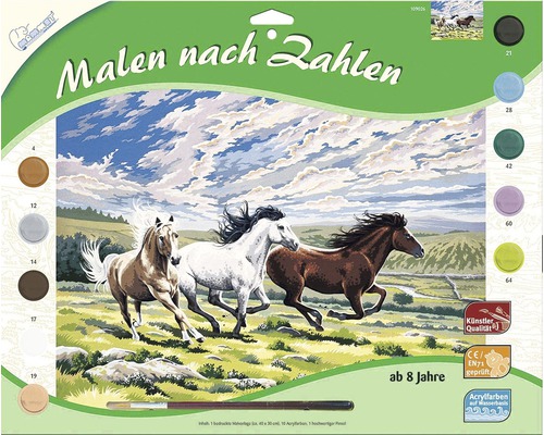 Set pictură după numere cu motiv cai