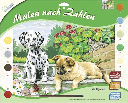 Set pictură după numere cu motiv câini și pisici
