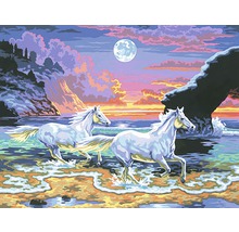 Pictură cu doi cai albi pe plajă sub lună