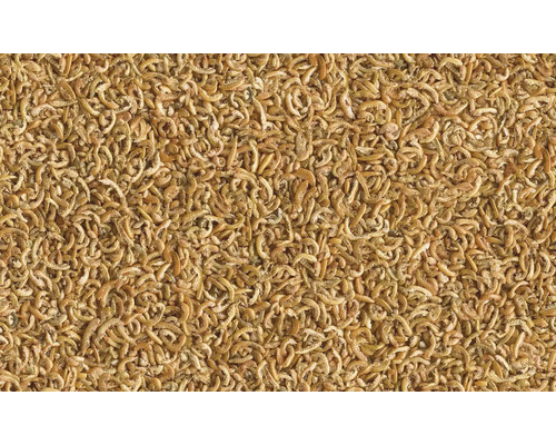 Viermi de făină uscați ca hrană pentru păsări