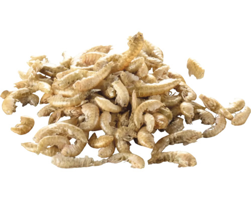 Gamarus uscați ca hrană pentru animale