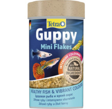 Tetra Guppy Mini Flakes Hrană pentru pești cutie