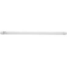 Neon Starke G5 T5 9W 900 lumeni 600mm lumină neutră