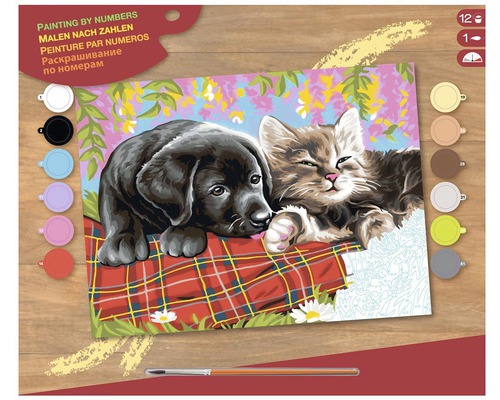 Imagine de pictură după numere cu un cățeluș și o pisică
