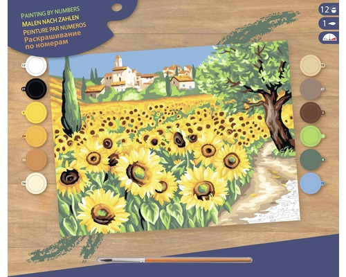 Pictură pe numere Floarea soarelui 30x40 cm