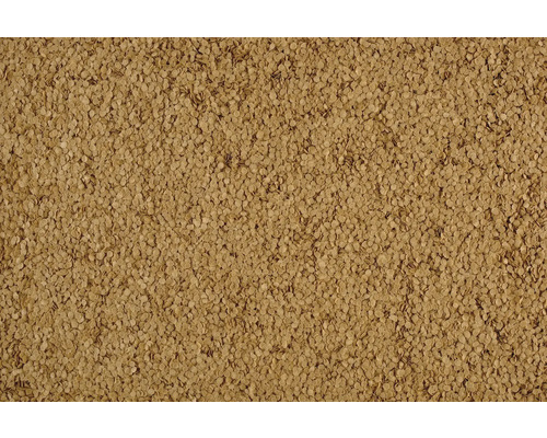 Prim-plan cu semințe de iarbă