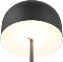 Lampadar cu LED integrat Jeff 2,5W 250 lumeni, încărcare USB, negru