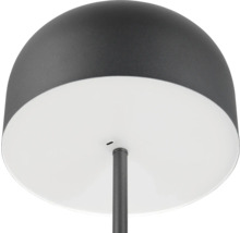 Lampadar cu LED integrat Jeff 2,5W 250 lumeni, încărcare USB, negru