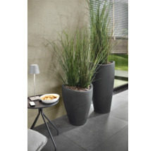 Două jardiniere gri cu iarbă ornamentală pe o terasă