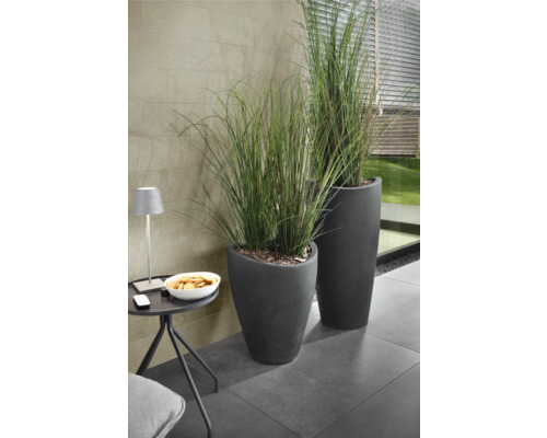 Două jardiniere gri cu iarbă ornamentală pe o terasă