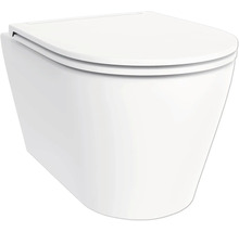 WC suspendat cu capac