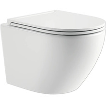 WC suspendat cu spălare profundă cu capac WC
