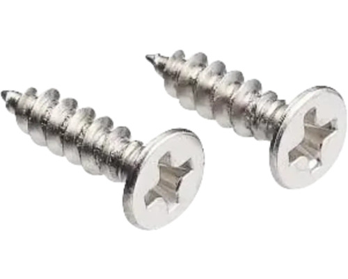 Două șuruburi Torx din metal