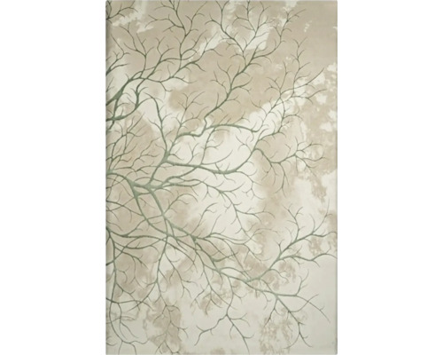 Covor modern Elif Pearly crem/verde 200x290 cm