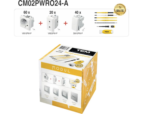 PACHET PROMO TEM Modul 60x priză cu împământare, 40x | HORNBACH