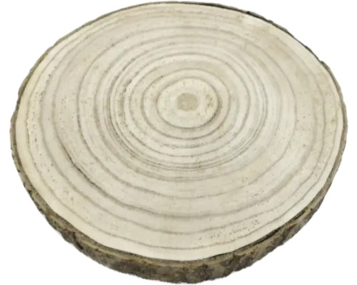 Disc de lemn cu inele de creștere