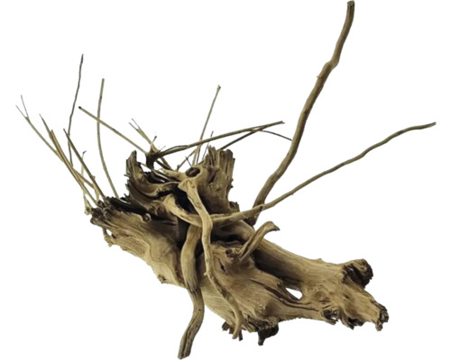 Lemn de rădăcină pentru decorarea acvariului