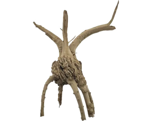 Lemn de rădăcină pentru decorarea acvariului