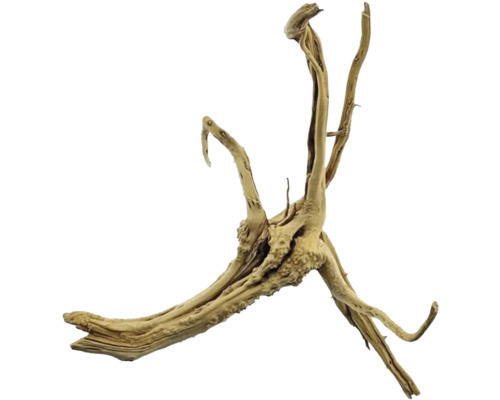 Rădăcină de acvariu pentru decorarea acvariilor