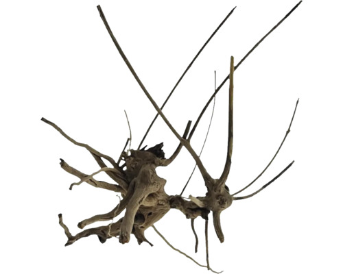 Rădăcină de acvariu cu ramificații pentru decorare