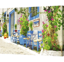 Pânză decorativă cu plante înflorite pe o fațadă vopsită în alb cu accente albastre