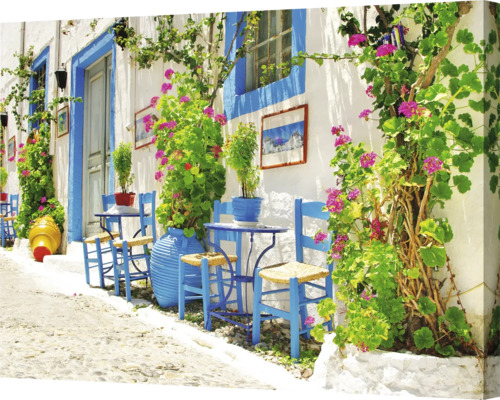 Pânză decorativă cu plante înflorite pe o fațadă vopsită în alb cu accente albastre