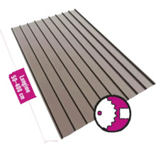 Tablă trapezoidală cu o lungime de 50 până la 400 cm