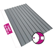 Tablă trapezoidală cu o lungime de 50 până la 400 cm