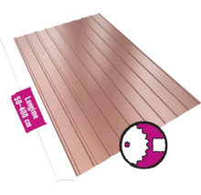 Tablă trapezoidală cu indicație de lungime de la 50 la 400 de centimetri