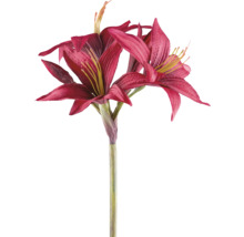 Amaryllis artificială cu mai multe flori și tulpină