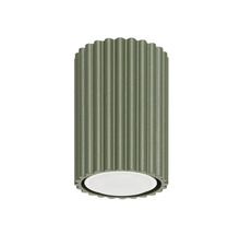 Lumină de plafon cilindrică verde cu suprafață striată