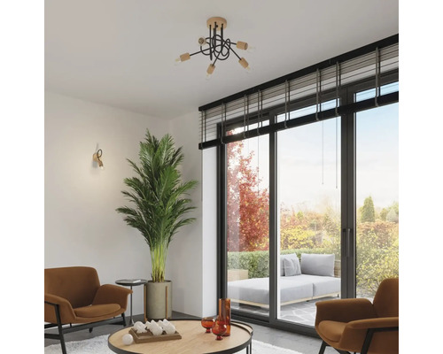 Cameră de zi cu plafonieră, fotolii și plantă de interior