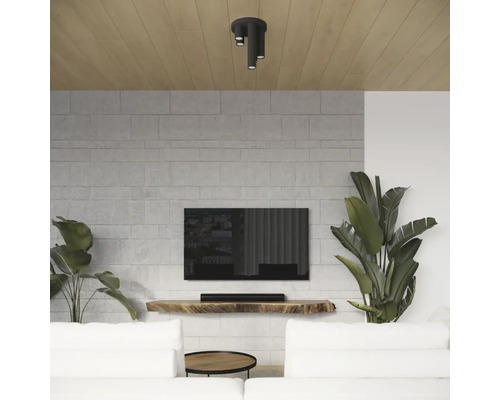 Cameră de zi cu plafonieră, televizor și plante de interior