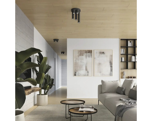 Living modern cu corpuri de iluminat de tavan, canapea, măsuță de cafea și plante